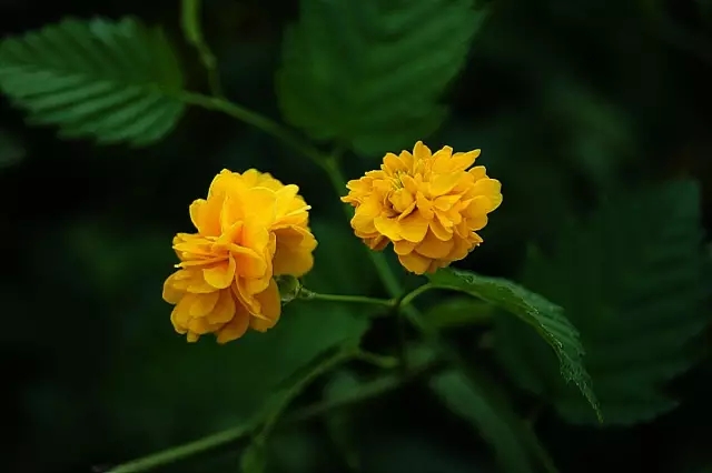 20.webp (1).jpg