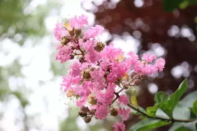 18.webp (1).jpg
