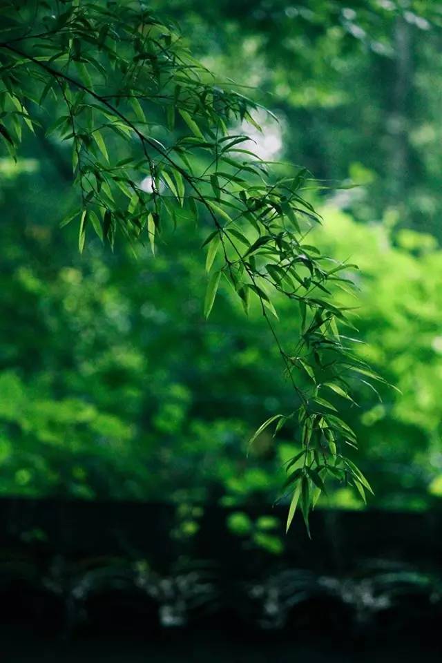 4.webp (1).jpg