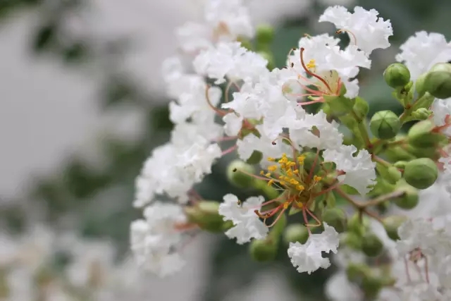19.webp (1).jpg