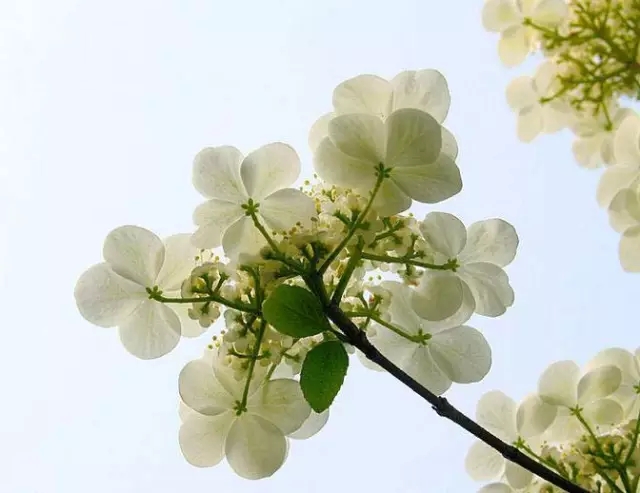13.webp (1).jpg