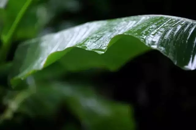 7.webp (1).jpg