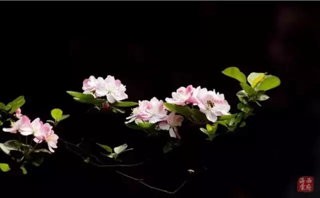 15.webp (1).jpg