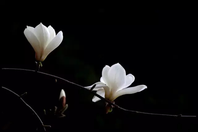 11.webp (1).jpg