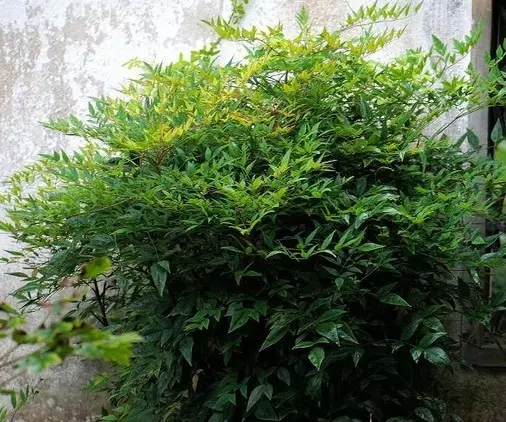 16.webp (1).jpg