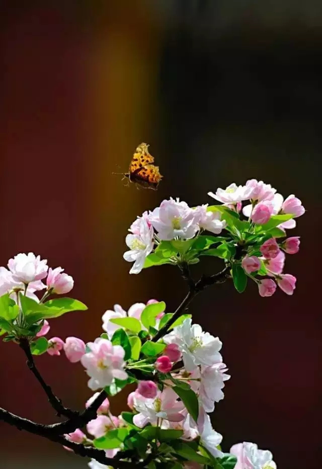 14.webp (1).jpg