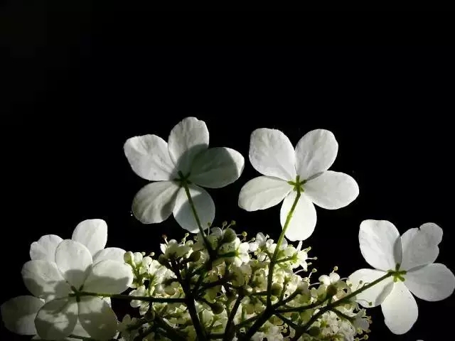 12.webp (1).jpg
