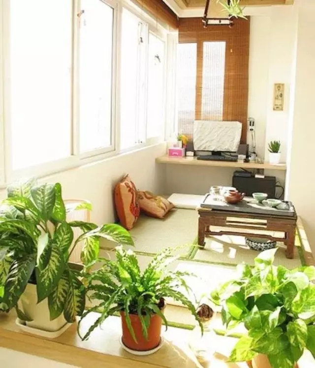 19.webp (2).jpg