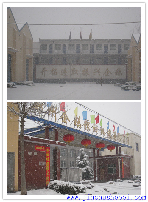 浸出油設(shè)備，預(yù)榨浸出生產(chǎn)線(xiàn)，榨油設(shè)備，精煉設(shè)備